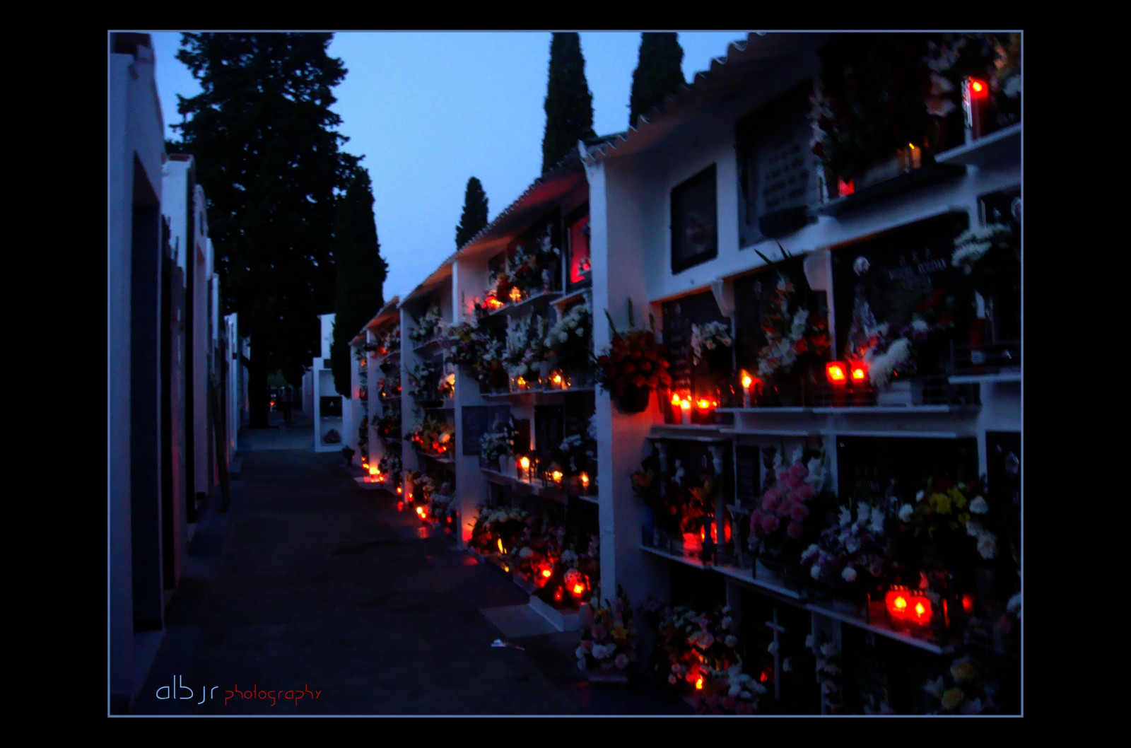 nat, lys, mørke, belysning, aften, træ, himmel, midnat, by