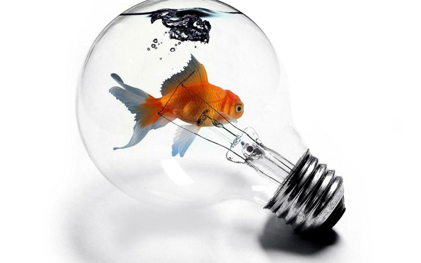 Wallpaper 1440x900 px, abstract, aquarium, bulbs, fish, goldfish