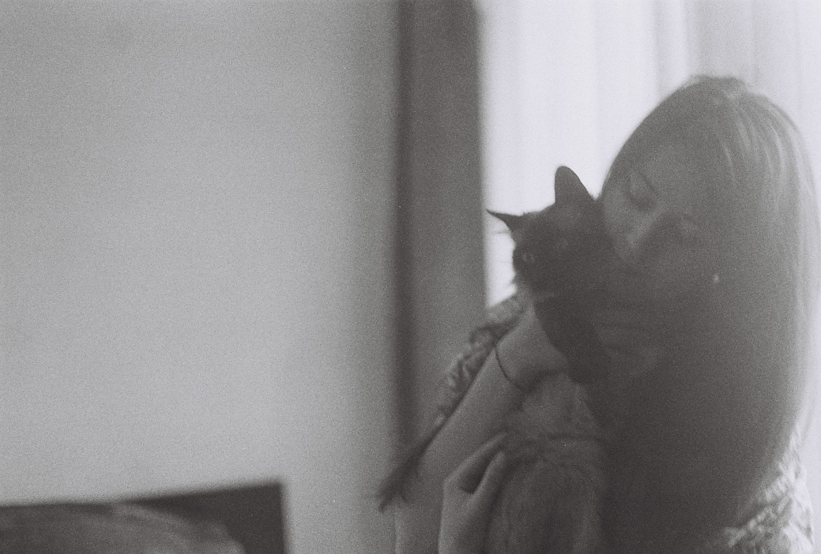 Černá, fotografie, Černý a bílý, kočka, savec, obratlovců, malé až středně velké kočky, momentka, monochromatické fotografování, kočka jako savci, černobílý, čenich, kníry, úhel, okno, carnivoran