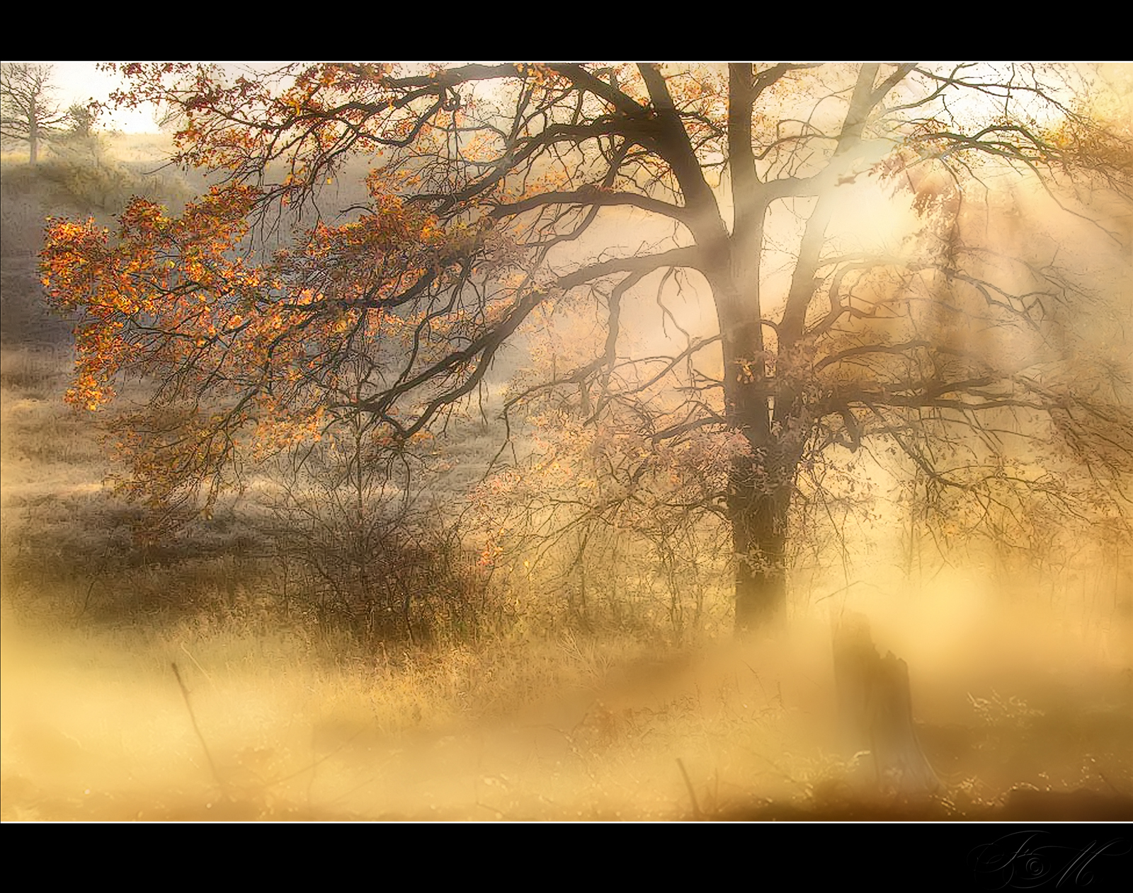 slunečnímu záření, stromy, krajina, les, Photoshop, západ slunce, voda, Příroda, odraz, fotografování, mraky, větev, svítání, modrý, večer, ráno, mlha, řeka, HDR, atmosféra, Nikon, 2013, Adobe, Blu, světlo, strom, podzim, mlha, list, svítání, sezóna, Italia, podrážka, sigma, obraz, obrázek, natura, štika, acqua, fiume, Nebbia, Photomatix, veneto, obraznost, alba, paesaggio, alberi, nuvole, přírodní prostředí, atmosférický jev, počítač tapeta, mediterraneo, dřevina, savana, bellitalia, maurizio51rewinds