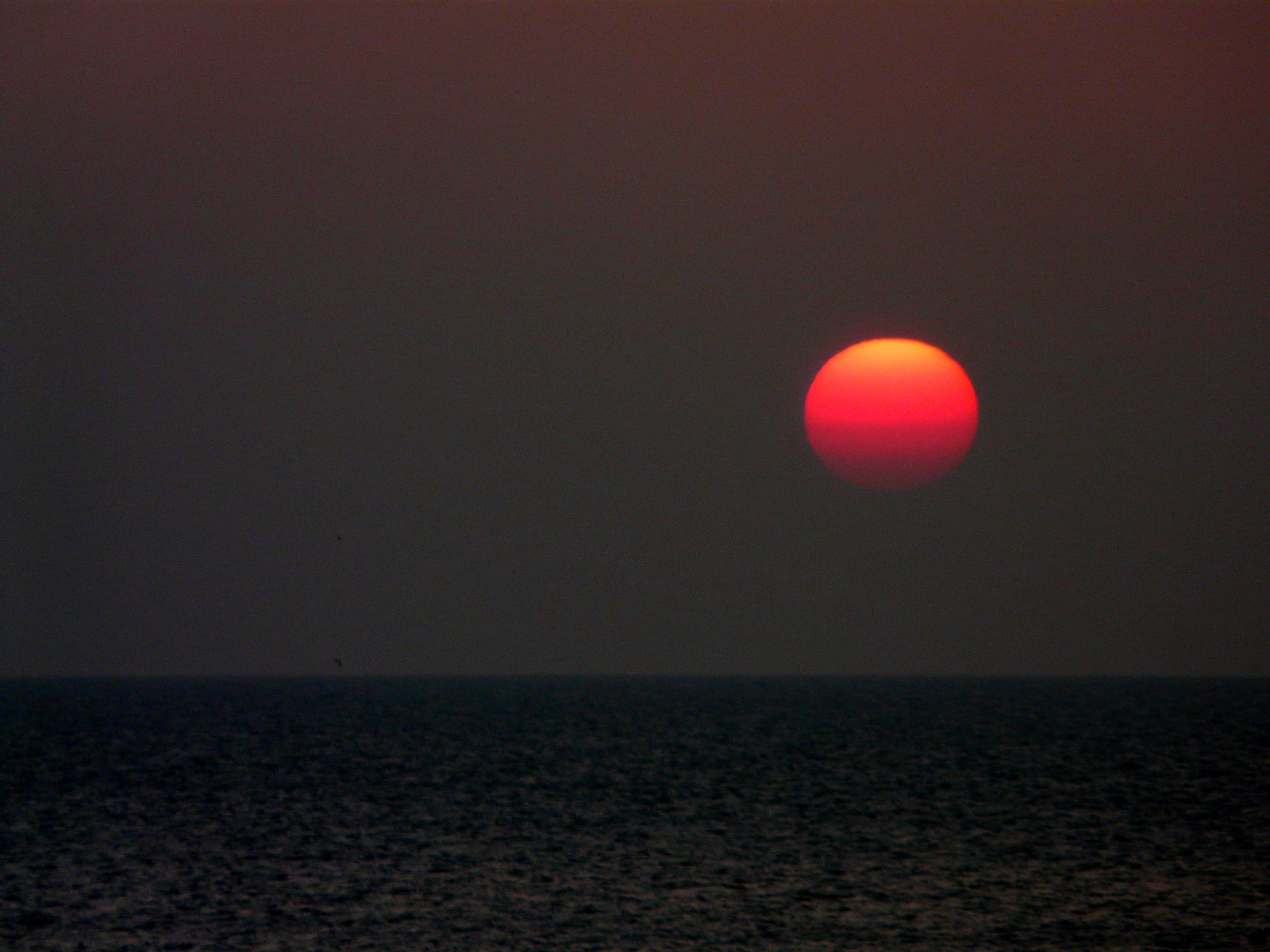 západ slunce, moře, noc, planeta, Červené, nebe, svítání, Měsíc, slunce, měsíční svit, horizont, atmosféra, Mars, soumrak, poloostrov, růž, soubor, světlo, západ, den, svítání, dolů, sluneční, tma, concordians, normandie, astronomický objekt, nebeská událost, senequet, ouest, Cotentin, načervenalé, Planete