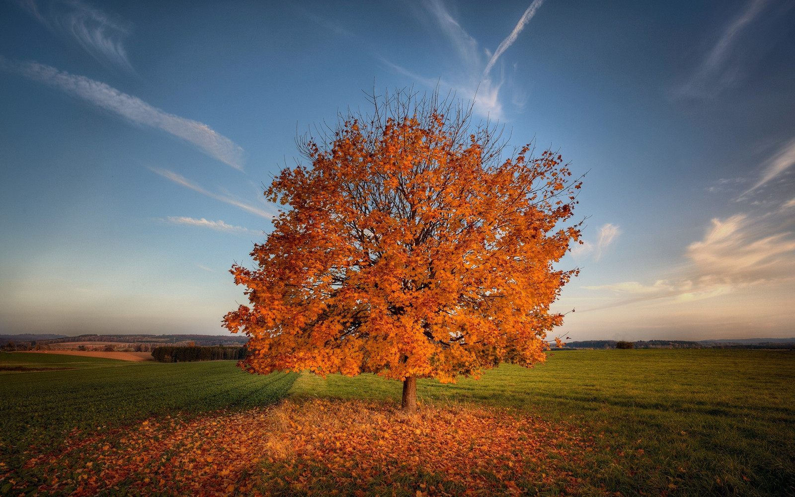 Fondos de pantalla : luz de sol, Árboles, otoño, puesta de sol