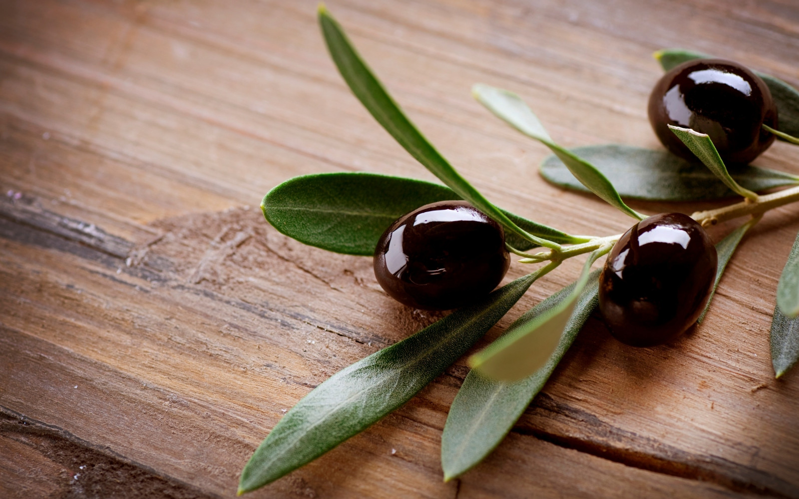 Hintergrundbilder : Oliven, Ast, Tabelle 2560x1600 - wallhaven - 683840