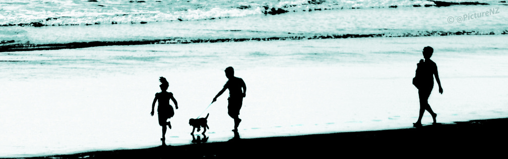 voda, písek, stín, silueta, led, vlny, pobřeží, Pes, vlasy, Radost, stojící, koňský ohon, stopy, Dovolená, šťastný, běh, chůze, litografie, dovolená, Vést, Matka, chlapec, sestra, bratr, dívka, dětství, vlna, dáma, zábava, pobřeží, člověk, ldlnoir, maminka, šťastné dny