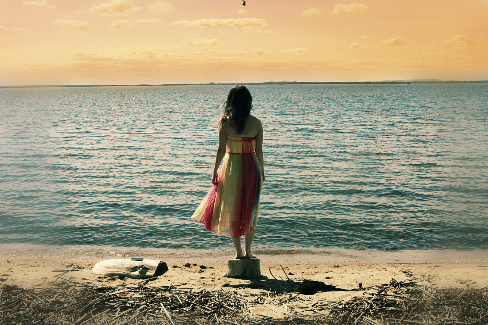 sollys, portræt, solnedgang, hav, sø, vand, natur, kyst, sand, brunette, himmel, skyer, strand, kjole, solopgang, berolige, aften, kyst, fødder, Sol, Canon, orange, alene, vind, horisont, Canada, sommer, stående, tilbage, liv, Solrig, fredelig, ferie, KUNST, lys, Sky, smuk, 5d, dag, regnbue, fugl, pige, ocean, bølge, sjovt, farver, selvportræt, krop af vand