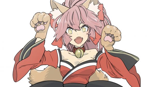 kawayabug,애니메이션,운명의 대주교,운명 시리즈,Tamamo Cat Fate Grand Order