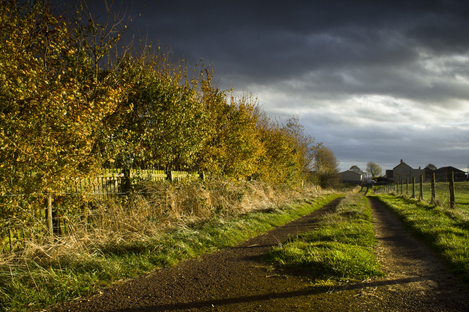 blå, efterår, solnedgang, sommer, England, himmel, orange, Sky, kold, farve, grøn, efterår, film, græs, skyline, skyer, kontrast, gå, landskab, gylden, landskaber, høj, stadig, mættet, varm, Rå, Rolige, Durham, naturlig, skumring, gård, naturallight, skarp, filter, Lee, time, nd, slowshutter, pigtråd, dyster, hvile, highkey, grad, vignet, teesside, goldenhour, filmisk, tees, konstant, Hartlepool, filmlook, constantlight, ndgradfilter