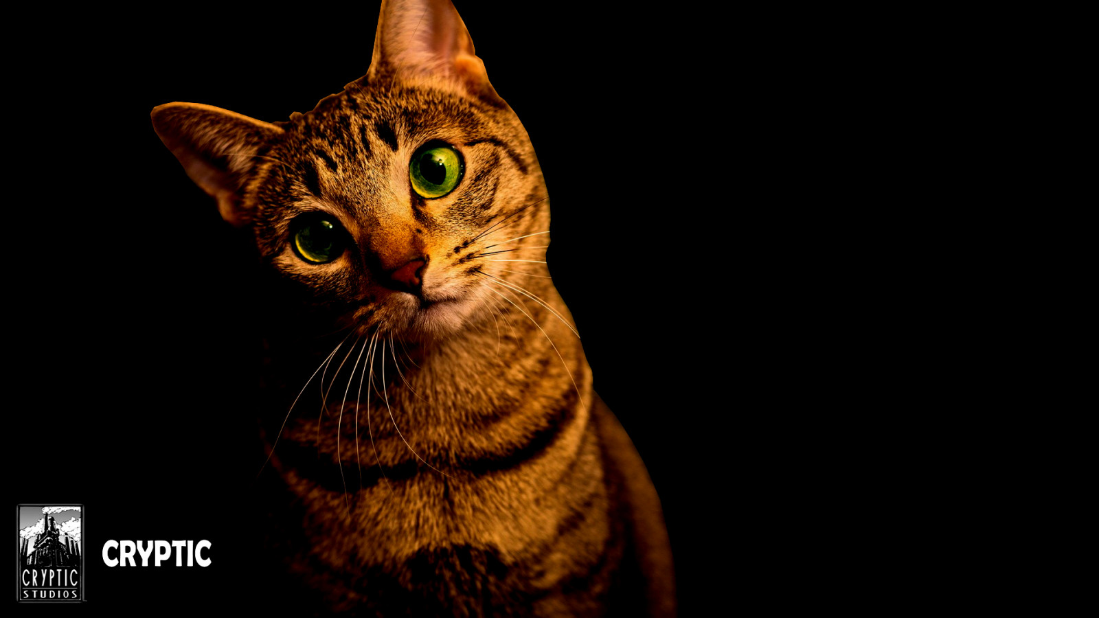 Crypt Location, Cat Goomba