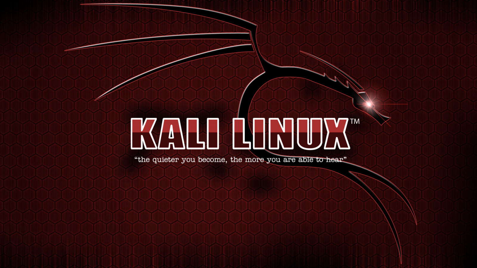 Hintergrundbilder Kali Linux 1920x1080 urbiy 1353607 Hintergrundbilder WallHere