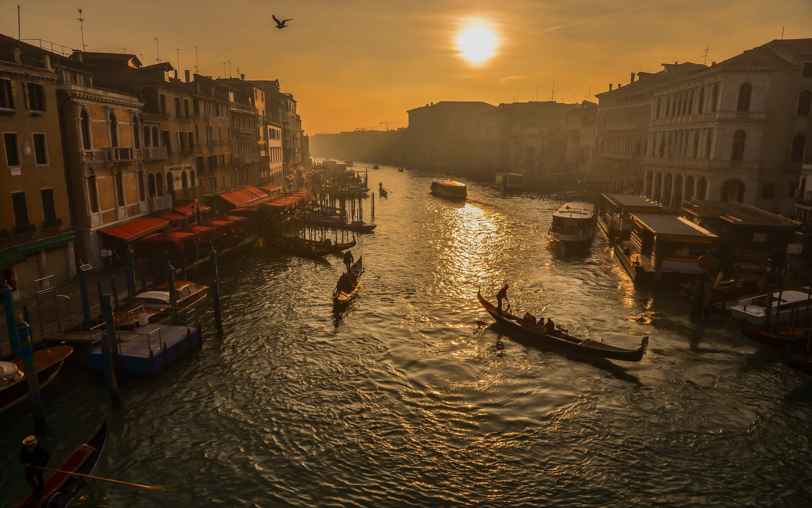 Wallpaper boat, sunset, sea, cityscape, night, building, reflection
