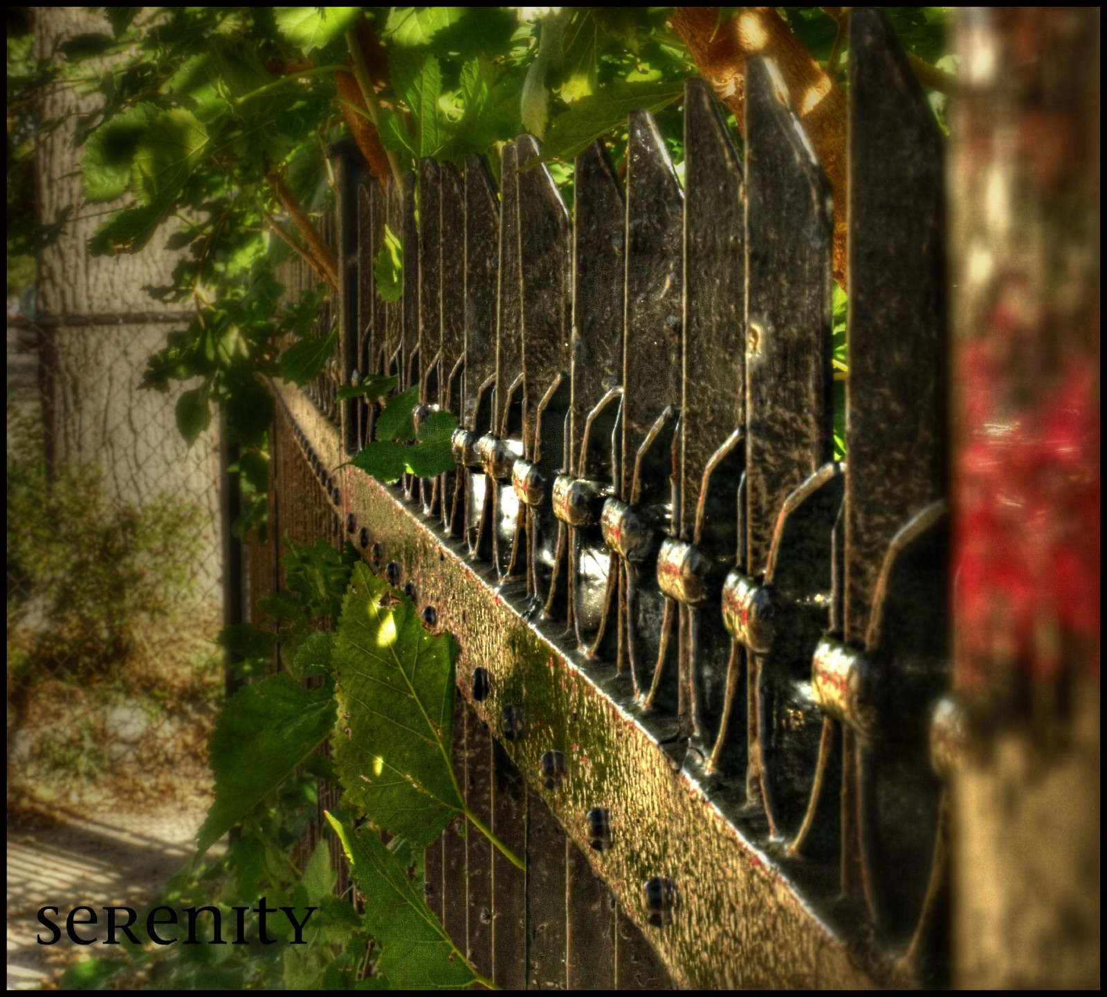 Ontario, Kanada, rozmazat, kov, plot, dof, hamilton, Samsung, Mistr, Dědictví, lesklý, Picnik, TQM, hypotetický, vrchní Polička, Photomatix, tonemapping, artdigital, newreality, magicpix, awardtree, bokehland, samsungmaster, fujifilmfinepixs1500, trolledproud, crazygeniuses, fencefriday, pastfeaturedwinner, paulboudreauphotography, bestofshining, shiningexcellence, představ si to, artdigitalexcellence, specialexoticaward