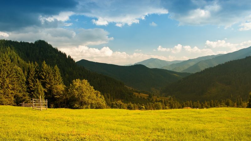 luz de sol, paisaje, montañas, colina, naturaleza, césped luz de sol, paisaje, montañas, colina, naturaleza, césped