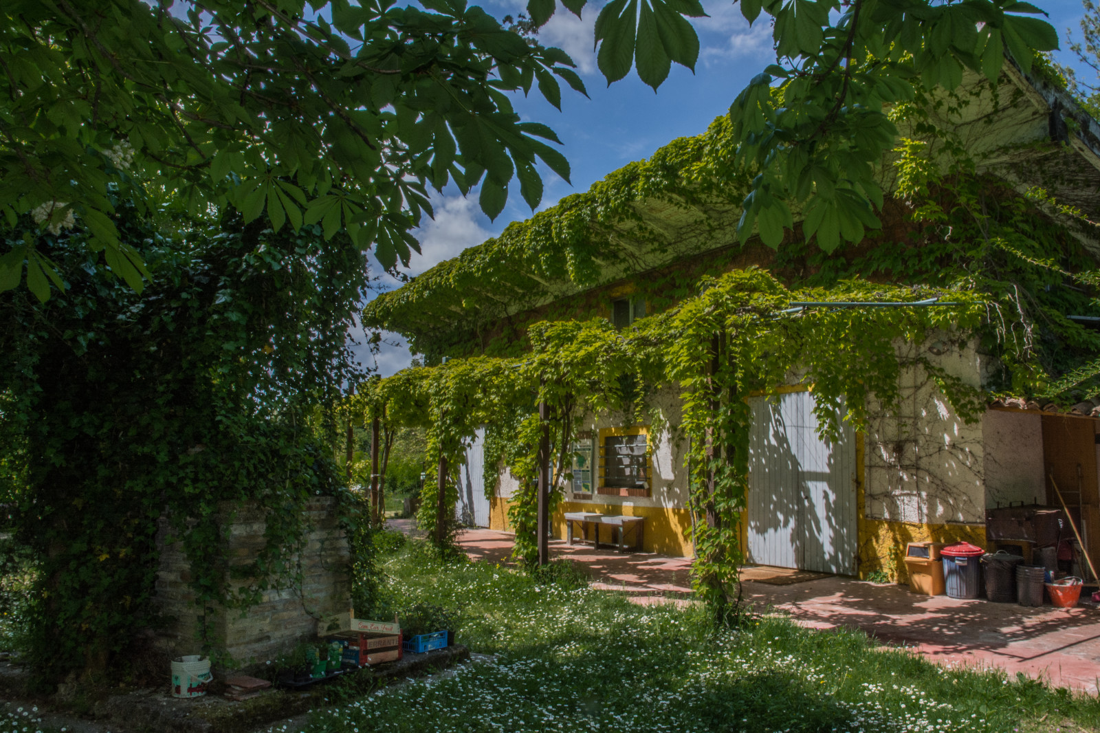 hoang dã, Ý, nhà ở, thiên nhiên, Casa, Phản xạ, Nikon, nước Ý, Natura, Con ếch, Emilia, D7100, Nikkor1685