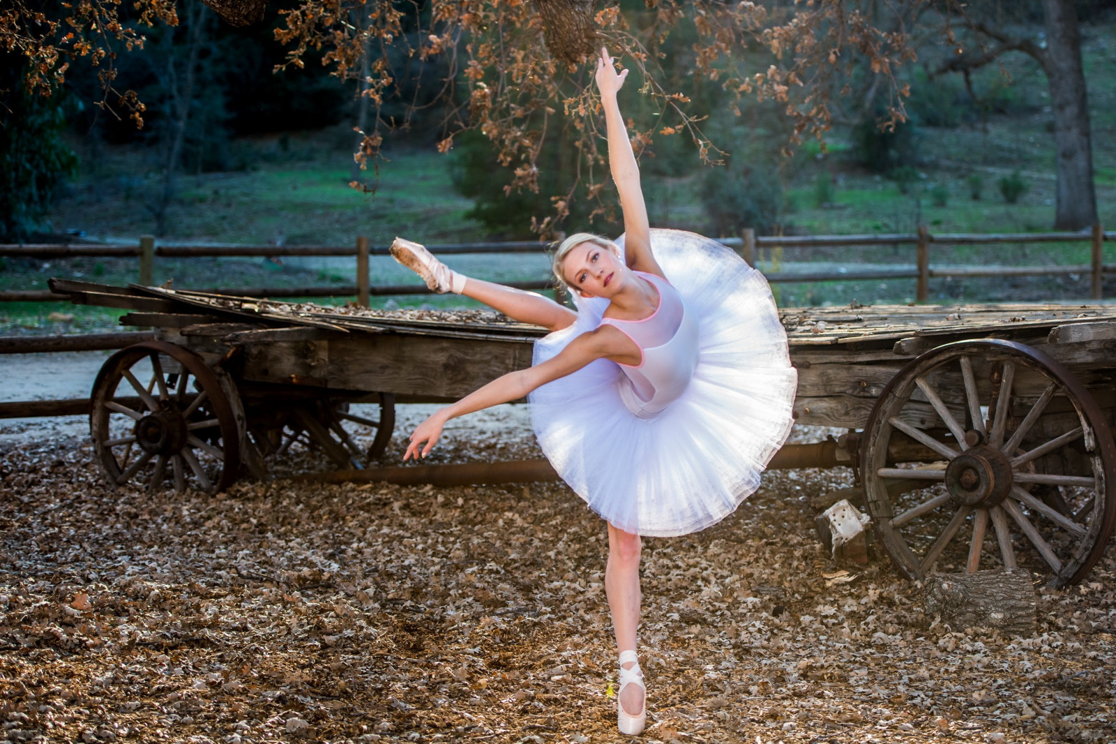 Wallpaper : sports, women, sitting, ballerina, spring, child, human ...