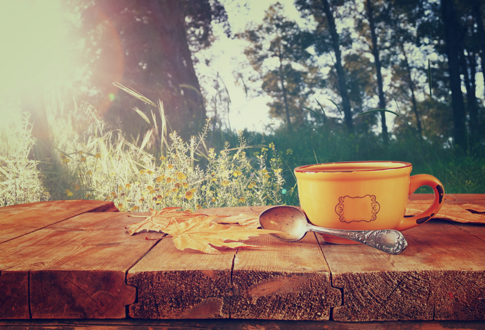 Wallpaper : 4653x3168 px, spoons, table 4653x3168 - wallbase - 1345695