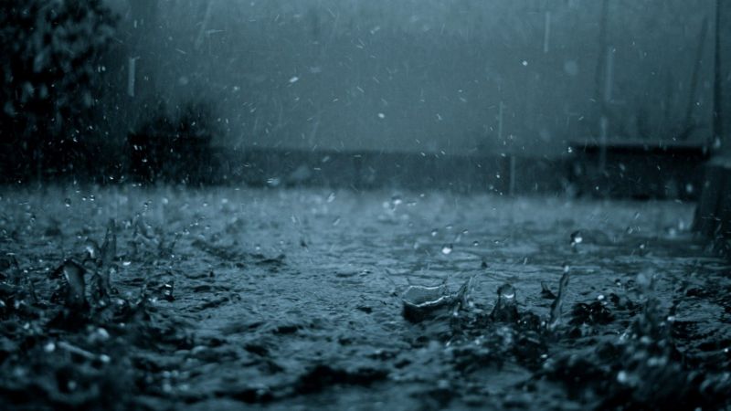 černobílý, sníh, déšť, ráno, noc, fotografování černobílý, sníh, déšť, ráno, noc, fotografování
