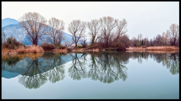 stromy,krajina,jezero,voda,Příroda,odraz