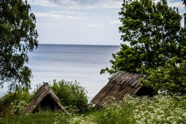 landscape,sea,bay,water,rock,nature
