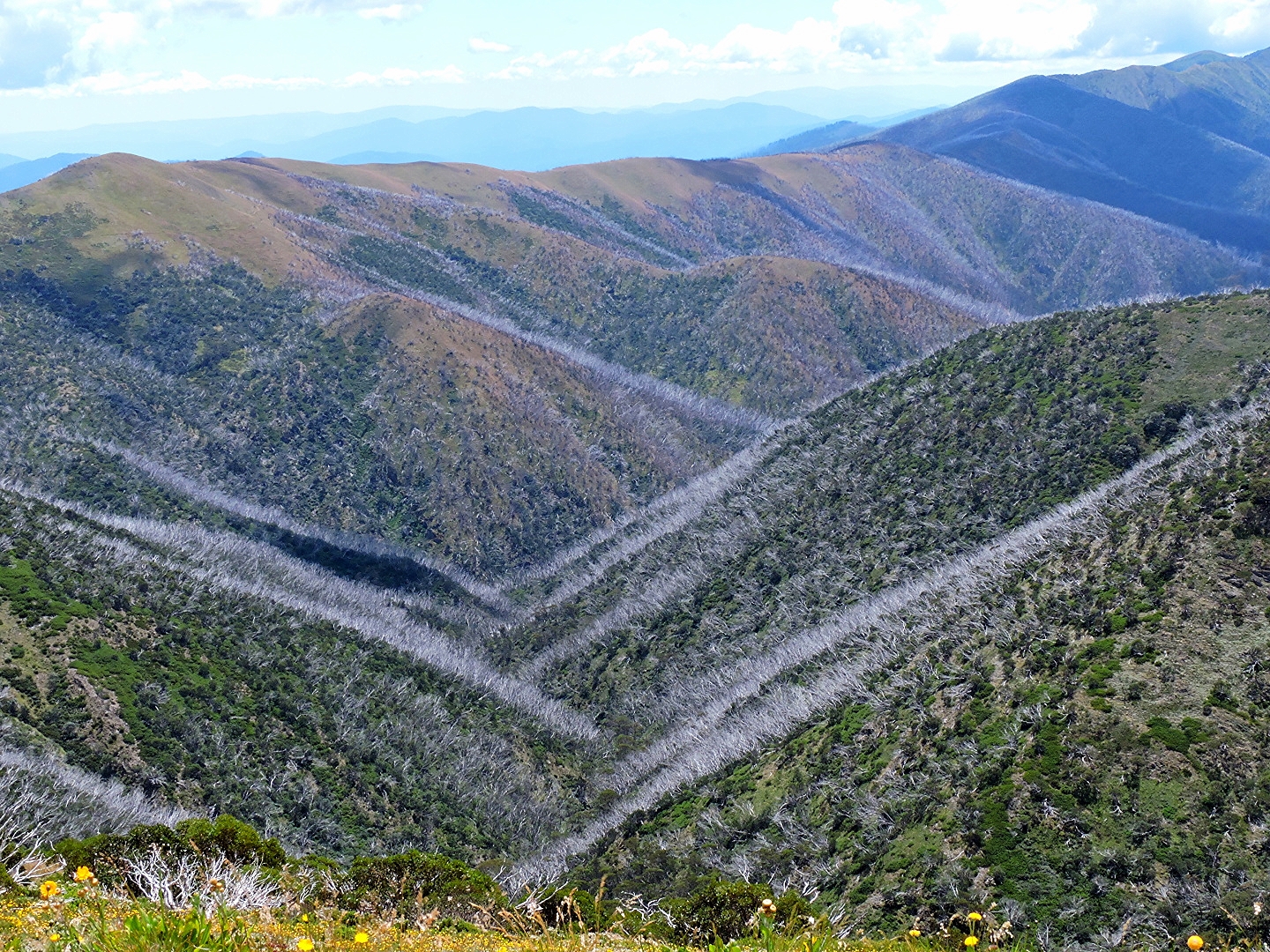 Continuous Ridge Mountains Wallpaper : highland, wilderness, ridge, mountainous landforms ...