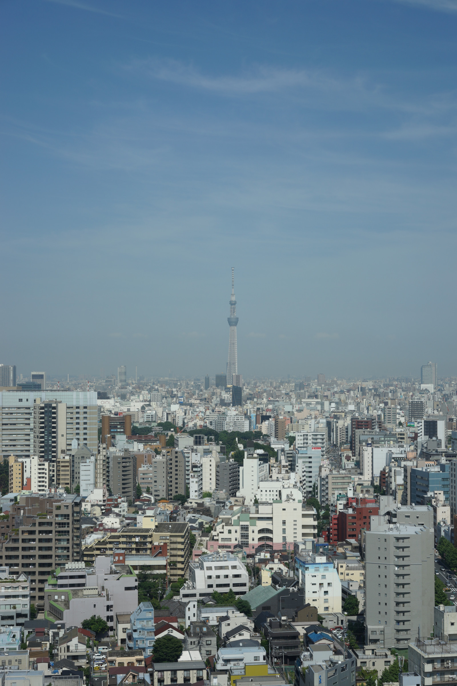 เมือง, cityscape, เส้นขอบฟ้า, ตึกระฟ้า, หอคอย, ขอบฟ้า, เมือง, โซนี่, มุมมองตานก, มหานคร, โตเกียว, 7, ตัวเมือง, Zeiss, t, tokyoskytree, อัลฟา, alpha7, 55 มม, Sonnar, sonnart55mmf18, Ilec, บุซเกีย, skytee, ชานเมือง, เขตเมือง, บรรยากาศของโลก, ปริมณฑล, นิคมอุตสาหกรรมของมนุษย์, ย่าน, ย่านที่อยู่อาศัย, หอบล็อก, การถ่ายภาพทางอากาศ