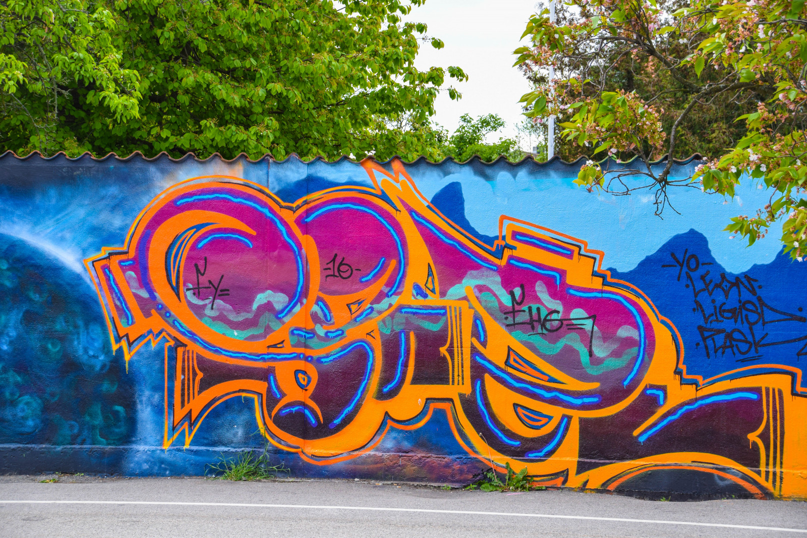 blomster, by, parkere, graffiti, Sverige, Europa, forår, vægmaleri, Sverige, KUNST, farver, udendørs, cityview, sk nel n, SE, Gade syn, malmø, Sofielund, l nngatan, byområde