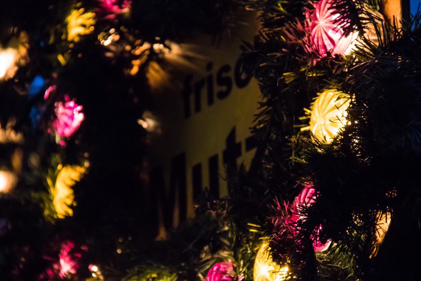 ramo, Germania, Albero di Natale, Natale, vacanza, luci di Natale, evento, albero, fiore, natale, negozio natalizio, luglio, Germania, deutschland, rostock, Julmarknad, modello canoneos760d exif, geocountry, Marca fotocamera Canon, Geocity, modello di fotocamera canoneos760d, geostate, geolocalizzazione, Lente exif efs18200mmf3556is, apertura exif 56, exif focalLength 200 millimetri, exif fare canon, exif ISOSPEED 6400, Weinachtsmarkt, arredamento, decorazione natalizia