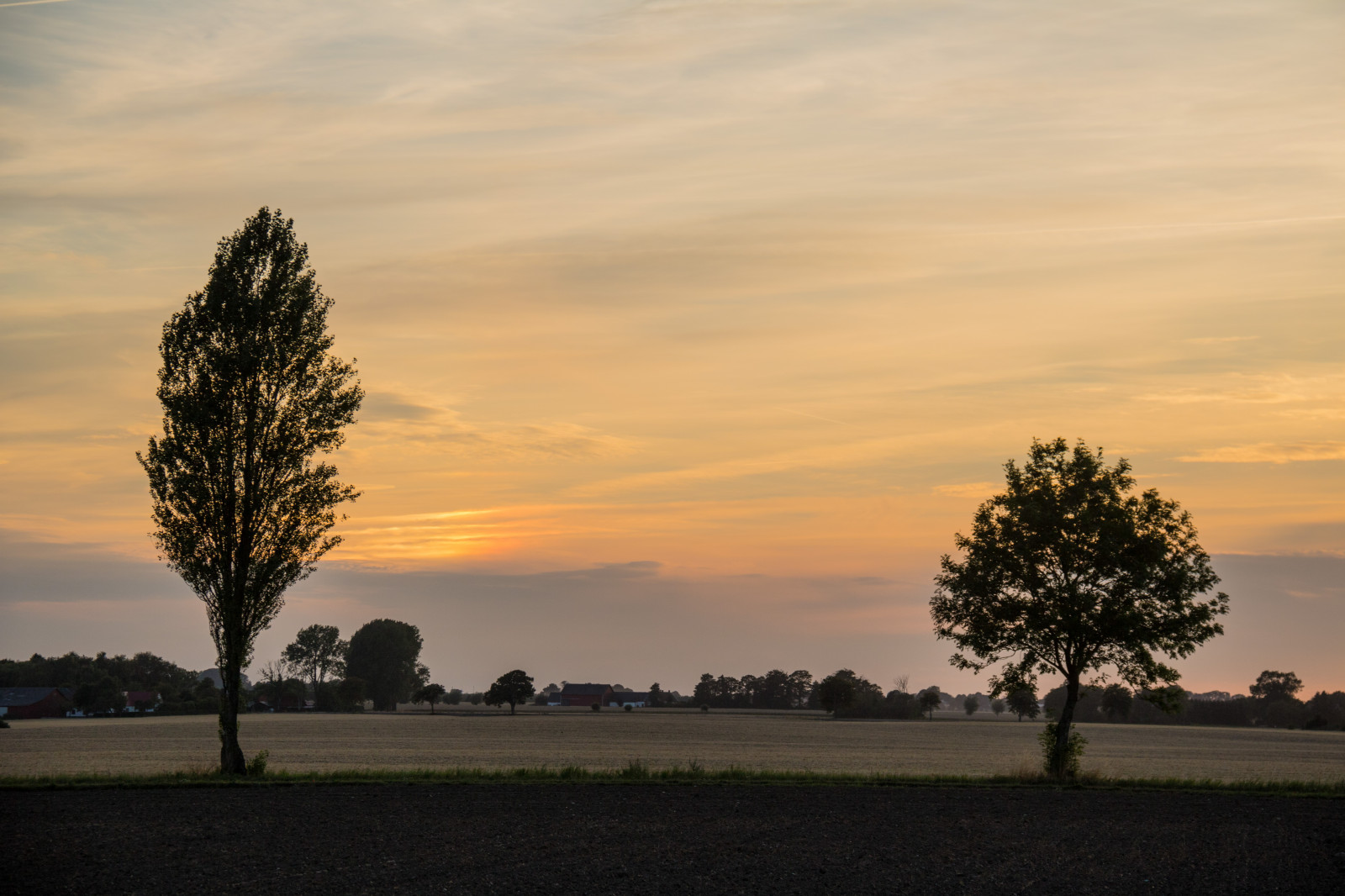 slunečnímu záření, krajina, západ slunce, kopec, Příroda, nebe, pole, svítání, večer, ráno, horizont, soumrak, mrak, strom, svítání, rostlina, zlatá hodina, nebe, solnedg ng, tr d, venkov, moln, landsbygd, landskap, exif modelu canoneos760d, geocountry, Kamera aby kánon, geocity, Model fotoaparátu canoneos760d, geostate, geolocation, EXIF čočka efs18200mmf3556is, exif aby kánon, EXIF isospeed 100, EXIF otvor 63, exif focallength 80mm, gyllenetimmen, prostý, venkov, atmosférický jev, dřevina, savana