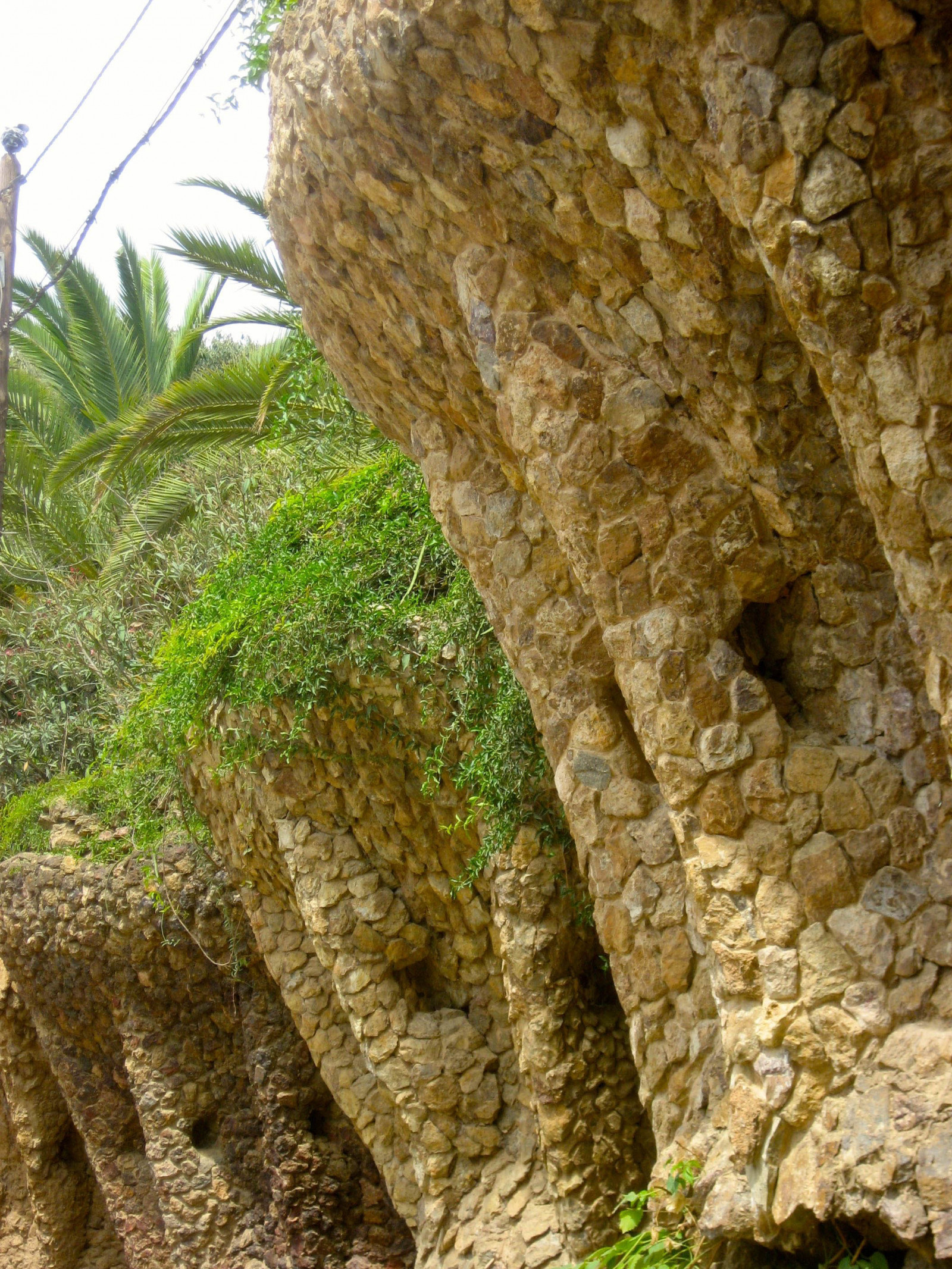 Skála, park, Volně žijících živočichů, Barcelona, strom, list, rostlina, flóra, sn, euorpe, katalonien, tretka, parkguell, parcg ell, antonigaud, carrerdolot, 08024barcelona, fauna, půda, botanika, suchozemská rostlina, kufr, tráva rodina