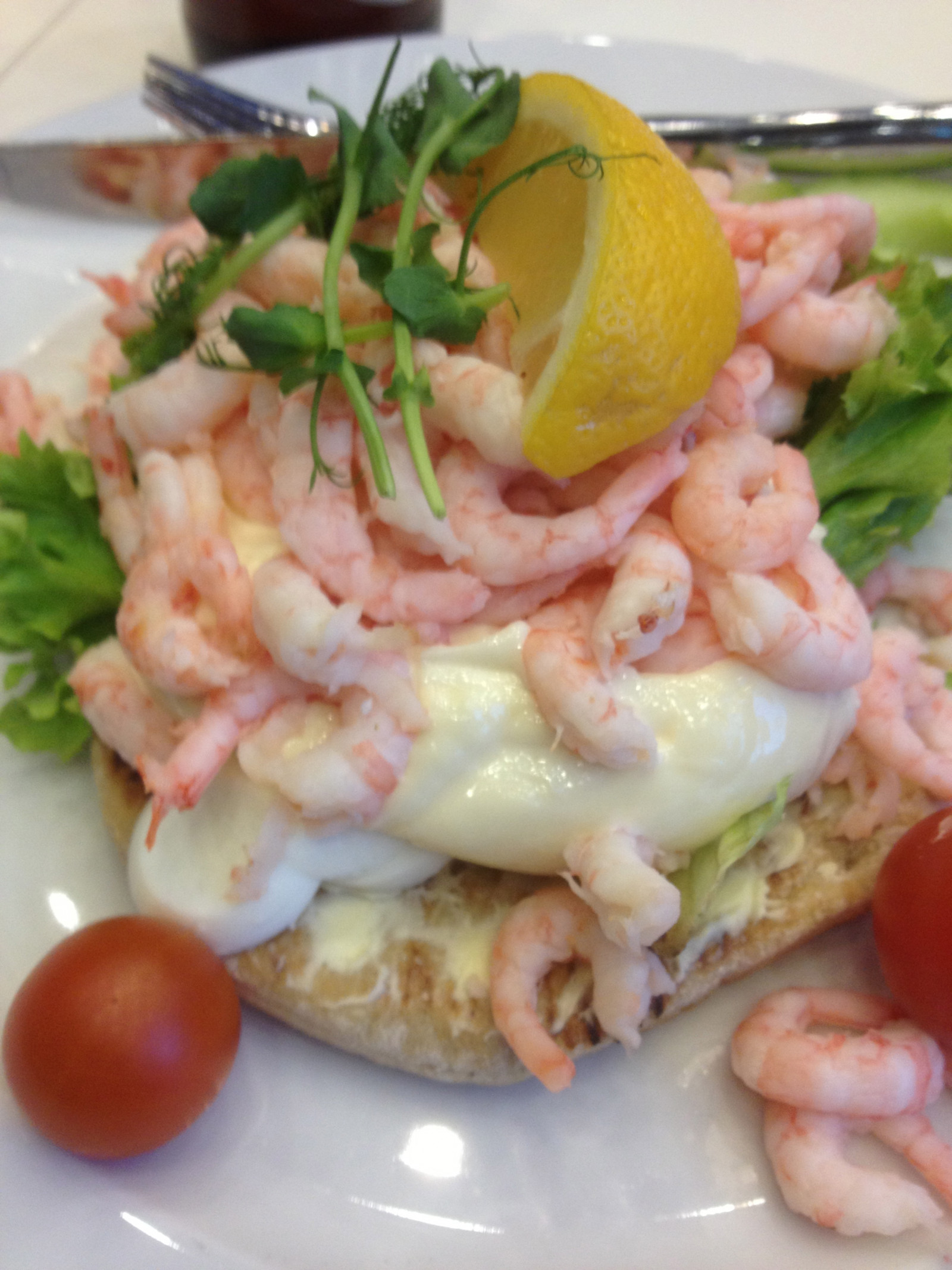 jídlo, Ryba, salát, plody moře, garnát, jídlo, webcoast, webcoast2013, kuchyně, jídlo, vyrobit, bezobratlý, krevety, ceviche