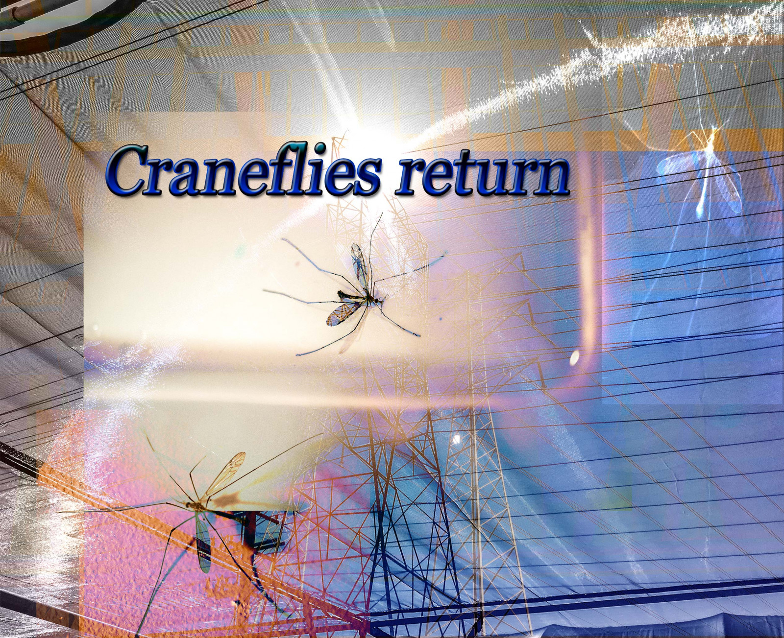 voda, prostor, nebe, text, makro, modrý, svět, iPhone, dráty, struktura, elektřina, složený, čára, Napájení, cranefly, project365, HSS, sliderssunday, nikond750, energie, 6ws, grafika, struktury, font, elektrické napájení, nikonaf2dxmicronikkor40mm, Cranefliesreturnnearlyinourspring