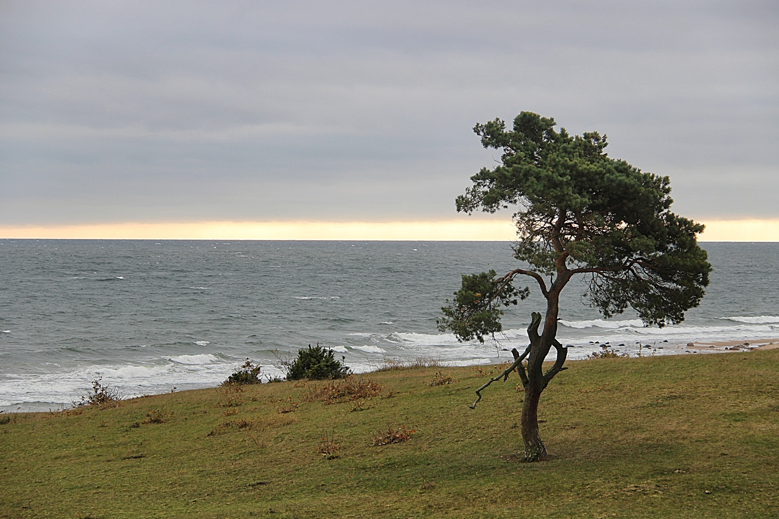 mare, baia, collina, acqua, roccia, natura, puntellare, sabbia, spiaggia, costa, scogliera, vento, orizzonte, isola, mantellina, vacanza, Terreno, albero, pianta, oceano, Sterlen, baia, attackfoto, tre, HAV ng, pino, attackfoto2, pianta legnosa, corpo d'acqua, Arecales