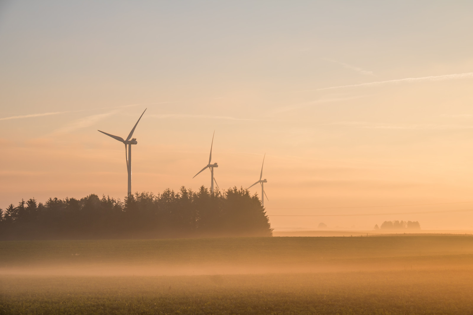 slunečnímu záření, krajina, západ slunce, pole, svítání, ráno, mlha, vítr, horizont, větrný mlýn, stroj, soumrak, mlýn, elektřina, větrná farma, mlha, svítání, dimma, venkov, landsbygd, soluppg ng, s dersl tt, landskap, gryning, morgon, prostý, energie, prérie, atmosférický jev, odlesk