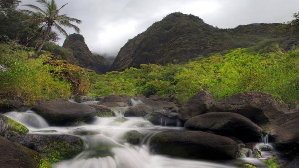 waterfall, water, rock, landscape, forest, mountains