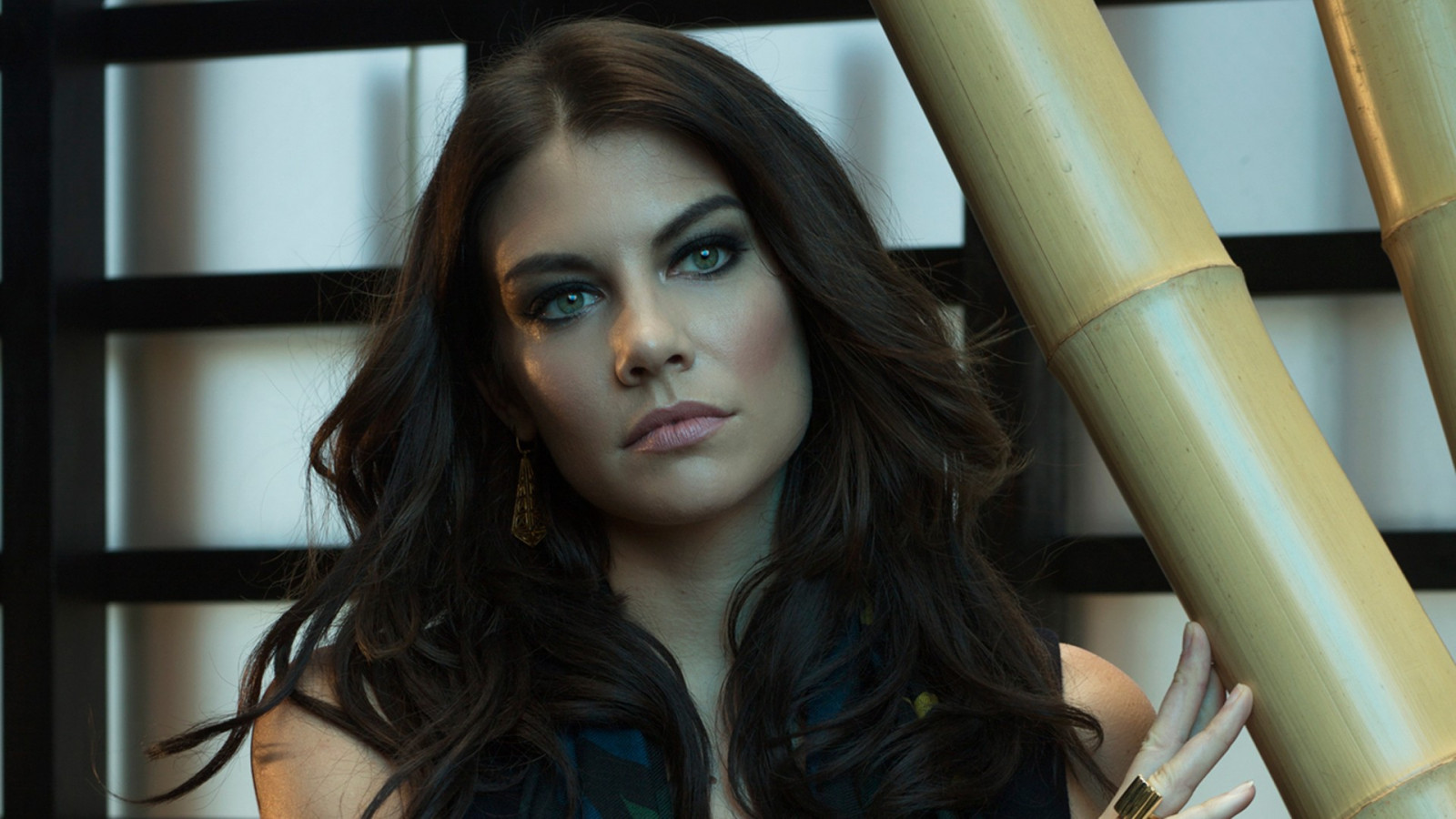 tvář, ženy, model, portrét, dlouhé vlasy, bruneta, brýle, fotografování, herečka, šaty, modrý, černé vlasy, Lauren Cohan, móda, vlasy, Osoba, kůže, oblečení, hlava, barva, dívka, krása, oko, žena, dáma, fotografie, účes, portrétní fotografie, focení, hnědé vlasy, umění model, Lidské tělo