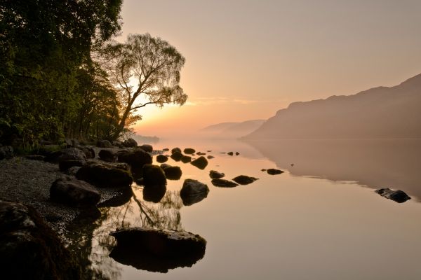 coast,stones,haze,trees,evening,open spaces