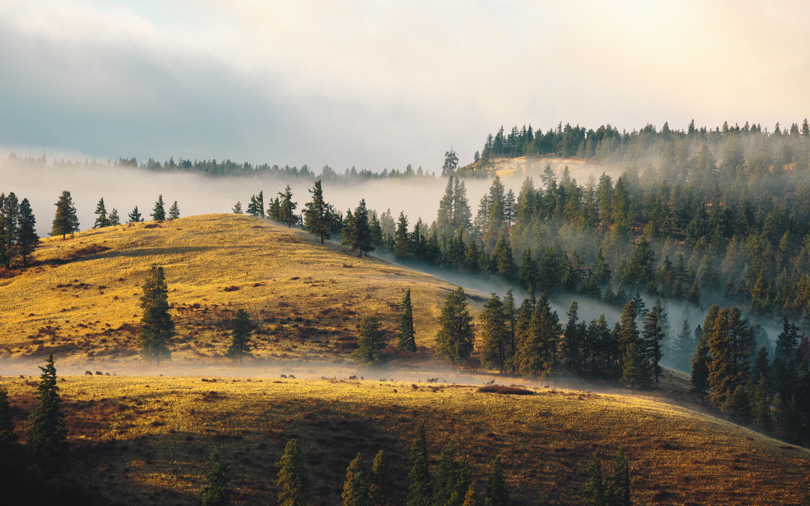 luce del sole, paesaggio, foresta, tramonto, collina, lago, natura, riflessione, la neve, inverno, Alba, sera, mattina, nebbia, natura selvaggia, crepuscolo, nube, albero, autunno, nebbia, foglia, montagna, tempo metereologico, alba, stagione, area rurale, habitat, ambiente naturale, fenomeno atmosferico, pianta legnosa, caratteristica geografica