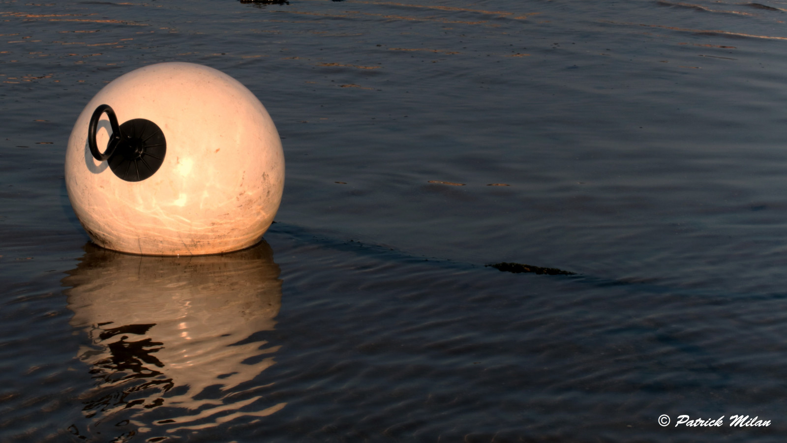 loď, loď, moře, voda, odraz, luk, rybolov, plachtění, saariysqualitypictures, oceán, přístav, přístav, nábřeží, quai, bóje, bateau, plachetnice, Plouguin, Ploudalmezeau, Portsall, Kersaint, Landunvez, Landeda, Lannilis, treglonou, saintpabu, Pabu, abers, Brittany, bretagne, BZH, saintrenan, Renan, Lanildut, aberwrach, Lampaul, Plouarzel, Breles, Iroise, vodní pták, mořští savci, remorkér, trup, optimistický, Finistere, peche