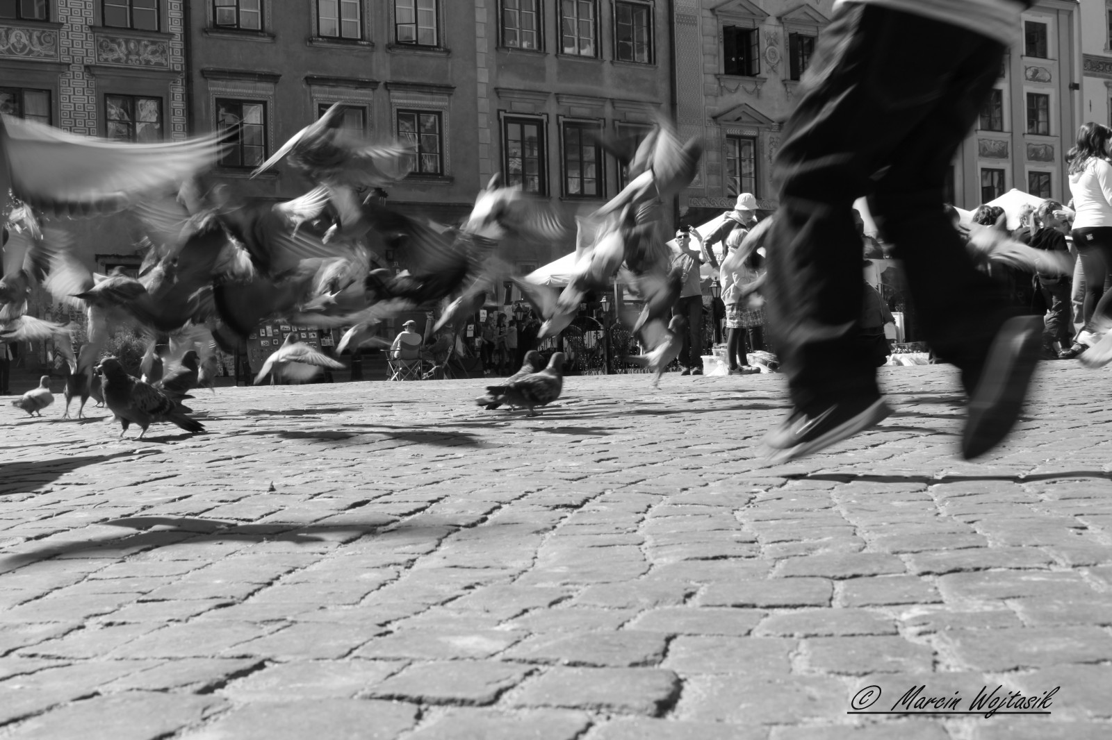 liv, by, mennesker, sort og hvid, fugle, fart, barn, hoppe, Europa, Europa, fortov, duer, stadt, polen, Warszawa, streetphoto, Polonia, warszawa, Varsovia, Warschau, miasto