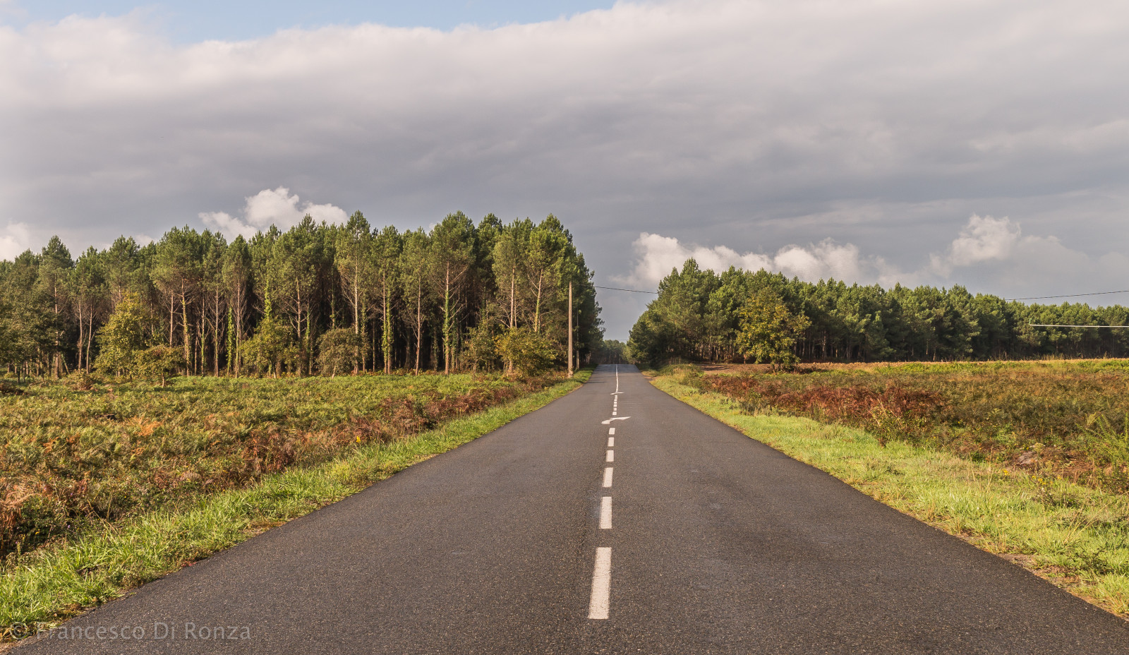 træer, landskab, Skov, bakke, natur, græs, himmel, Mark, vej, skyer, Sony, hovedvej, asfalt, infrastruktur, træ, Tamron, efterår, rejse, Landschaft, udendørs, himmel, fr, natur, kamera, wald, wolken, strasse, frankreich, reise, b ume, bane, dänisch, jord, landdistrikt, vedplante, vejbelægning, lightroomcc, imfreien, ort, slta99v, tamronsp2470mmf28diusd, bildtyp, naturundlanschaftsfotografie, Magescq, aquitainelimousinpoitoucharen, aquitainelimousinpoitoucharentes