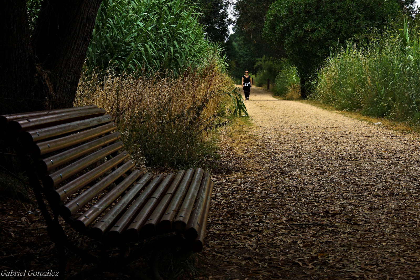 espana, Paisajes, krajina, fotografie, Španělsko, G, badatel, prozkoumat, Galicia, Pontevedra, A77, 18270, Gaby1, tamron18270, sonya77, Tamron18270mmpzd, Ggl1, sonya77v, Gabrielcoru a, Xelodegalicia, Xovesphoto