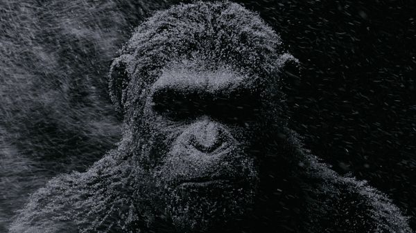 Planet of the Apes,movies,War for the Planet of the Apes,andy serkis,caesar