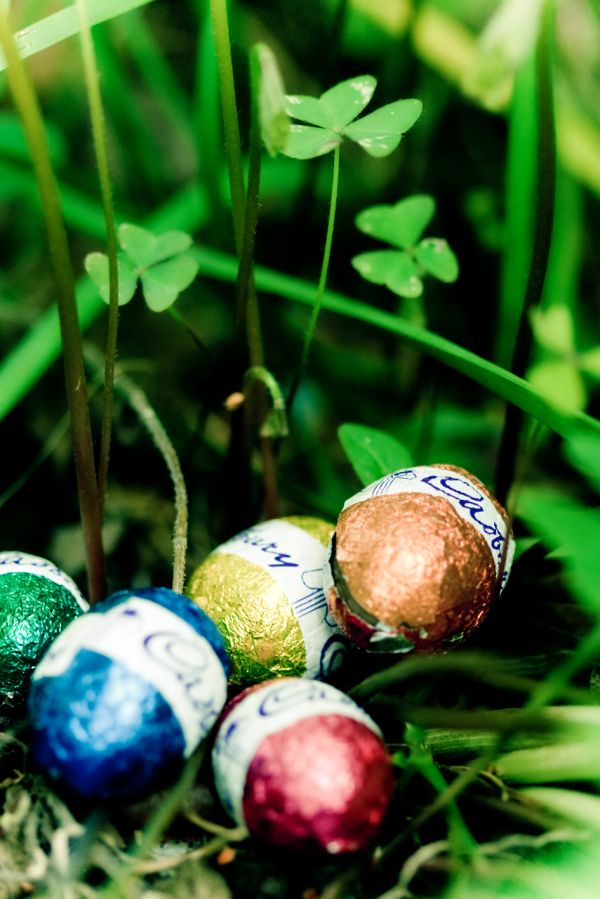 eggs,grass
