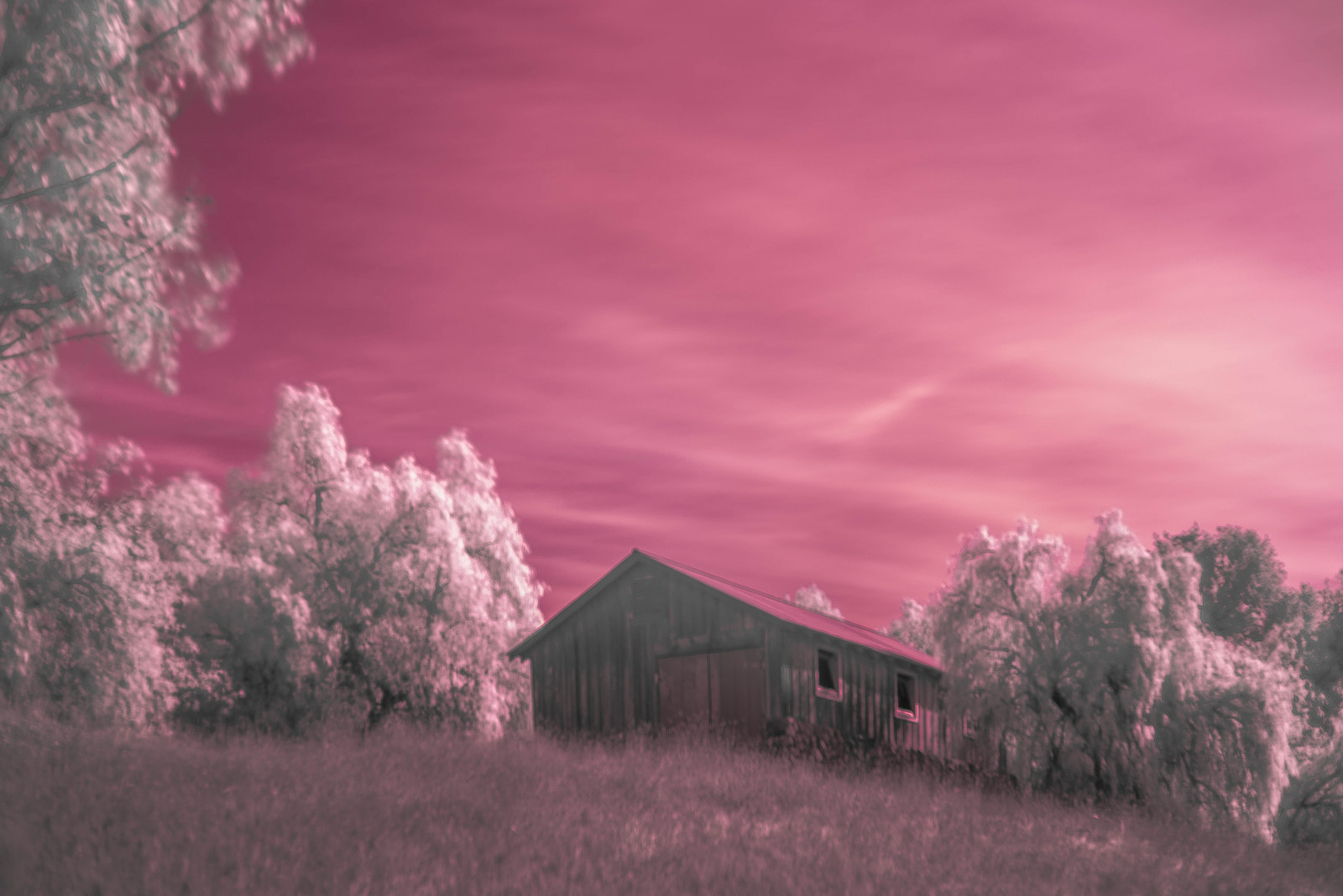 luce del sole, paesaggio, colorato, tramonto, natura, rosso, abbandonato, erba, cielo, campo, viola, nuvole, Alba, giallo, sera, mattina, Sole, arancia, California, Nikon, fienile, crepuscolo, rosa, luminosa, infrarosso, immaginare, aria, rurale, urbex, treppiedi, colore, nube, bellissimo, albero, NIKKOR, montagna, fiore, alba, sfocatura, sognare, sbarcare, prato, fantasia, pop, brillare, area rurale, fenomeno atmosferico, fenomeno meteorologico