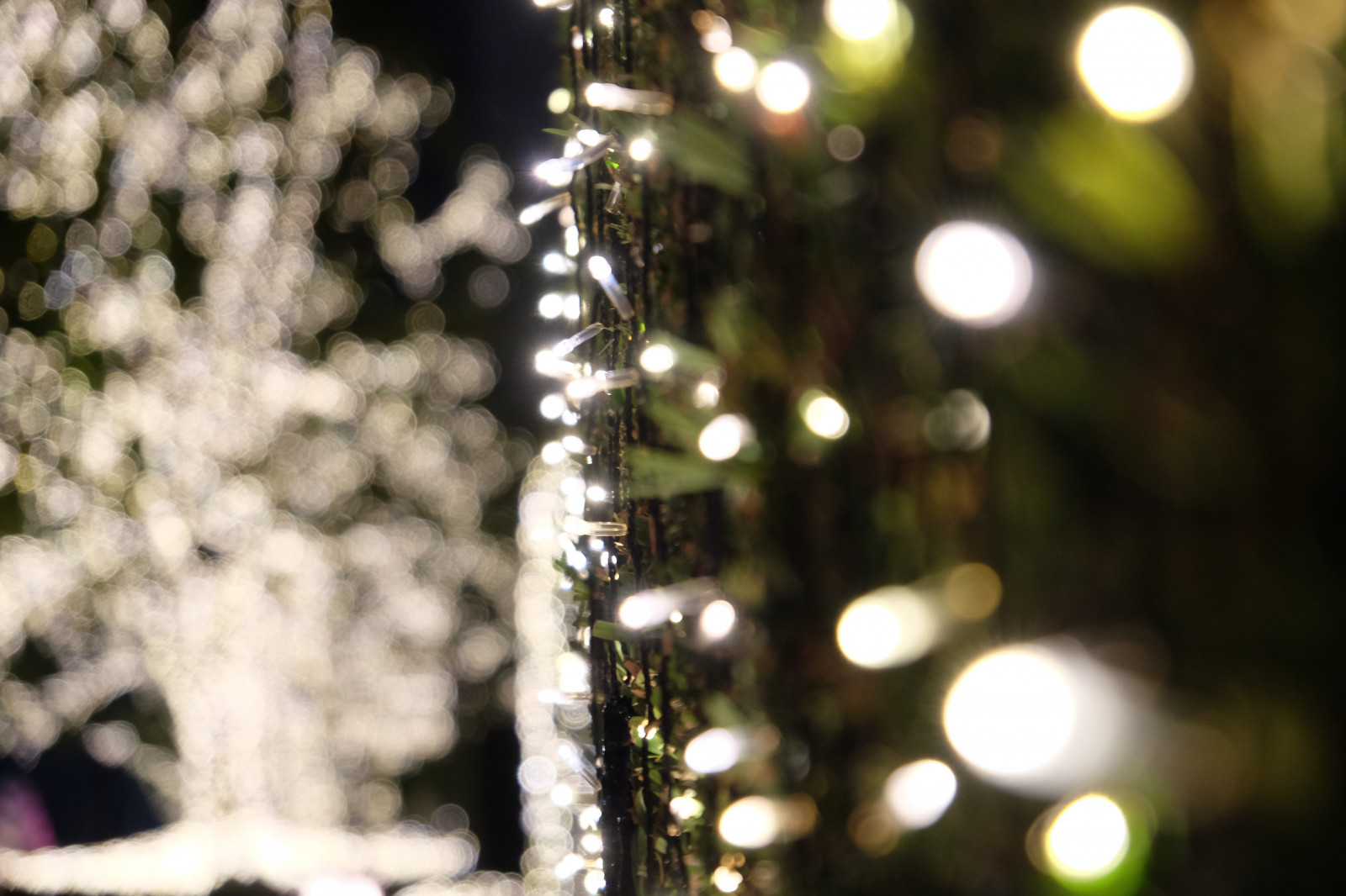 デスクトップ壁紙 日光 夜 ブランチ 緑 クリスマスツリー クリスマスのあかり 東京 フジフィルム 木 花 点灯 フジノン 新宿 バツ 南方の Xt1 Xfmmf3556rlmoiswr Xfmm クリスマスの飾り 46x3264 デスクトップ壁紙 Wallhere