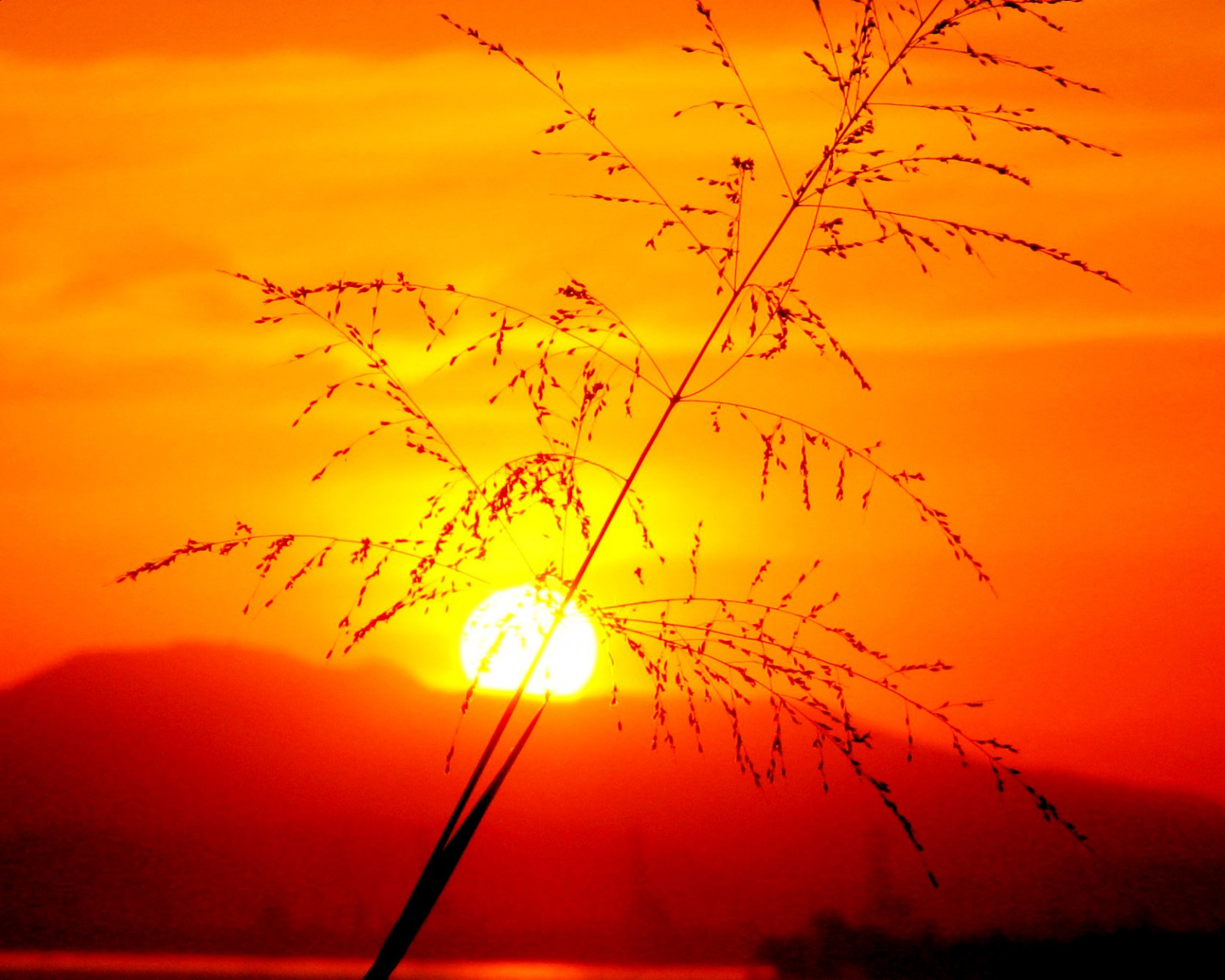 světlo, západ slunce, Červené, letní, Brazílie, oranžový, slunce, slunečnímu záření, pláž, Jižní Amerika, Krásná, Rio de Janeiro, Báječné, divit se, zlatý, úžasný, fantastický, perfektní, barvitý, den, skvělý, rozkošný, Slunný, Průhledná, vynikající, letního, moment, půvabný, okouzlující, jednoduchý, magický, sunsetlight, lesklý, Niteroi, slunečný den