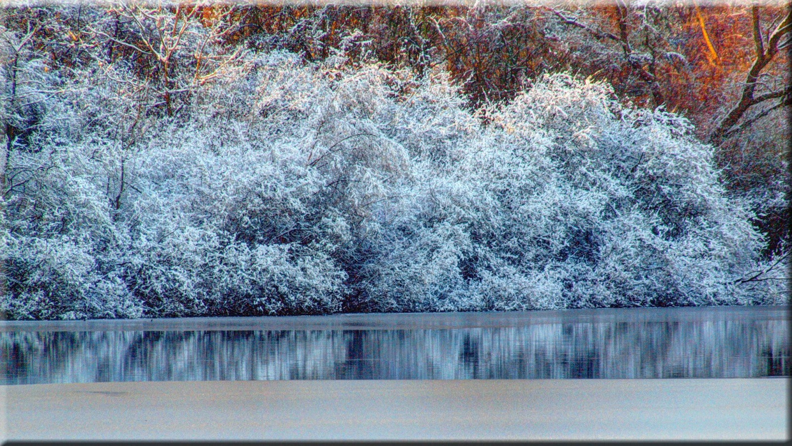 stromy, jezero, sníh, zima, větev, led, mráz, květ, zmrazení, Olympus, strom, květ, počasí, rostlina, sezóna, vidět, Schnee, b UME, E620, Eutin