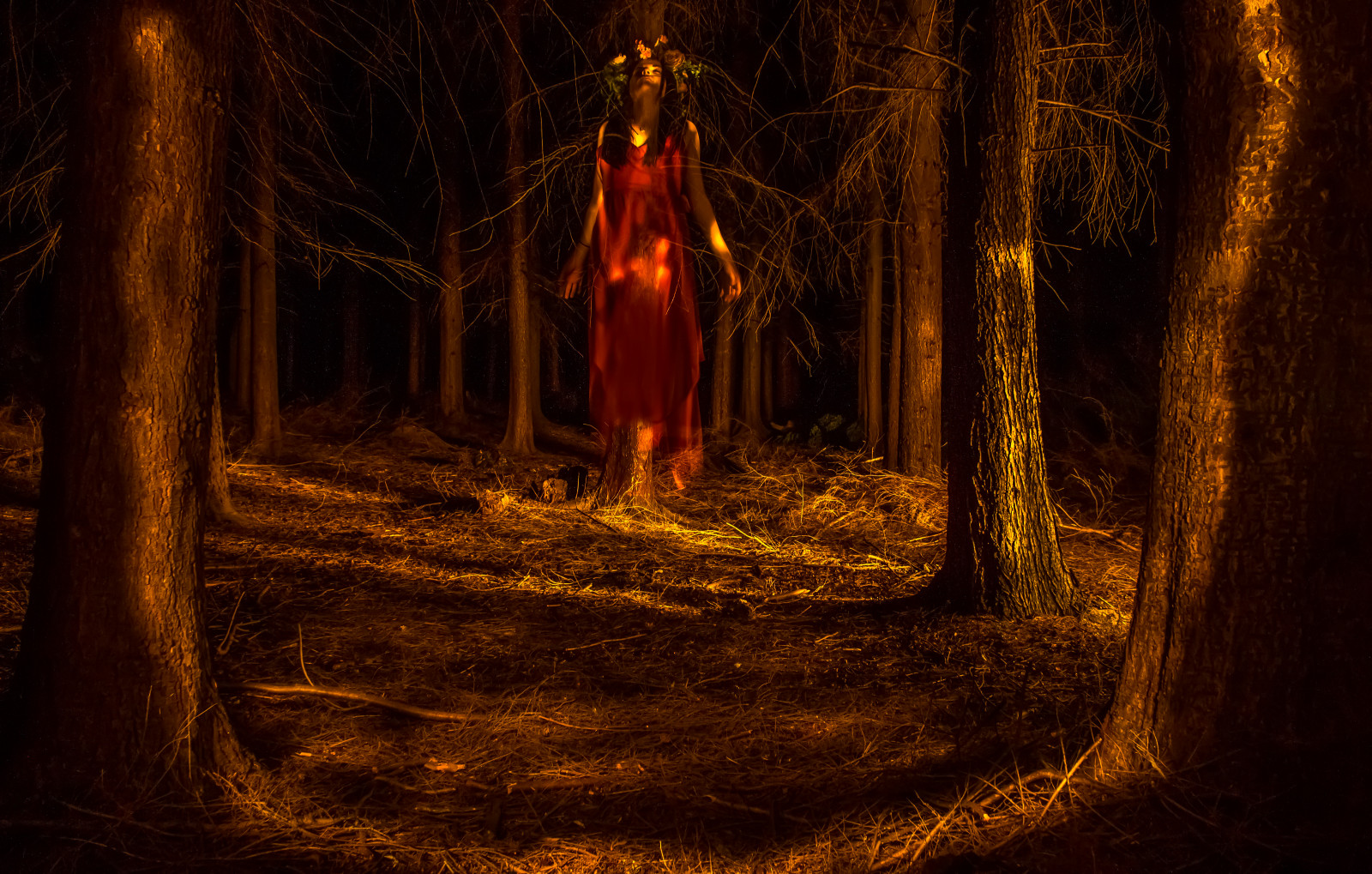 ansigt, sollys, træer, lys, maleri, Skov, hvid, sort, hænder, øjne, mørk, blomster, nat, rød, fotografering, lilla, træ, grøn, gul, England, magi, Canon, hår, klipper, næse, spøgelse, guld, lyserød, hud, ører, Sussex, lys, longexposure, lang, udsættelse, vest, træ, efterår, humørsyg, blomst, glød, pige, humør, øje, farve, hånd, sjovt, farverig, lp, skov, nightphotography, mørke, lightpainting, effekt, e, skærmbillede, computer tapet, øre, West Sussex, lightgraffiti, Patten, lpwa