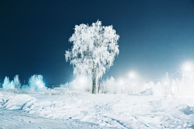zima, mráz, zmrazení, sníh, strom, nebe