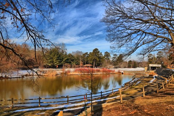 highdynamicrange,HDR,photoaday,pad,landscape,cookpark