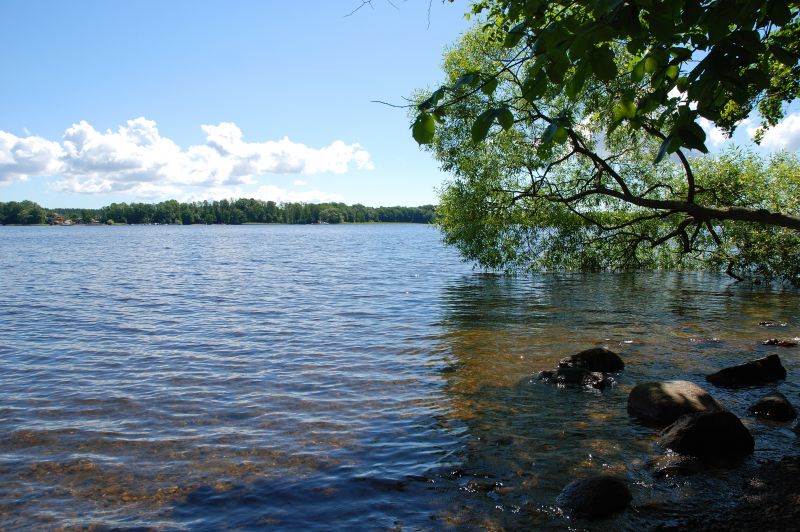 bomen, zee, meer, water, natuur, kust- bomen, zee, meer, water, natuur, kust-